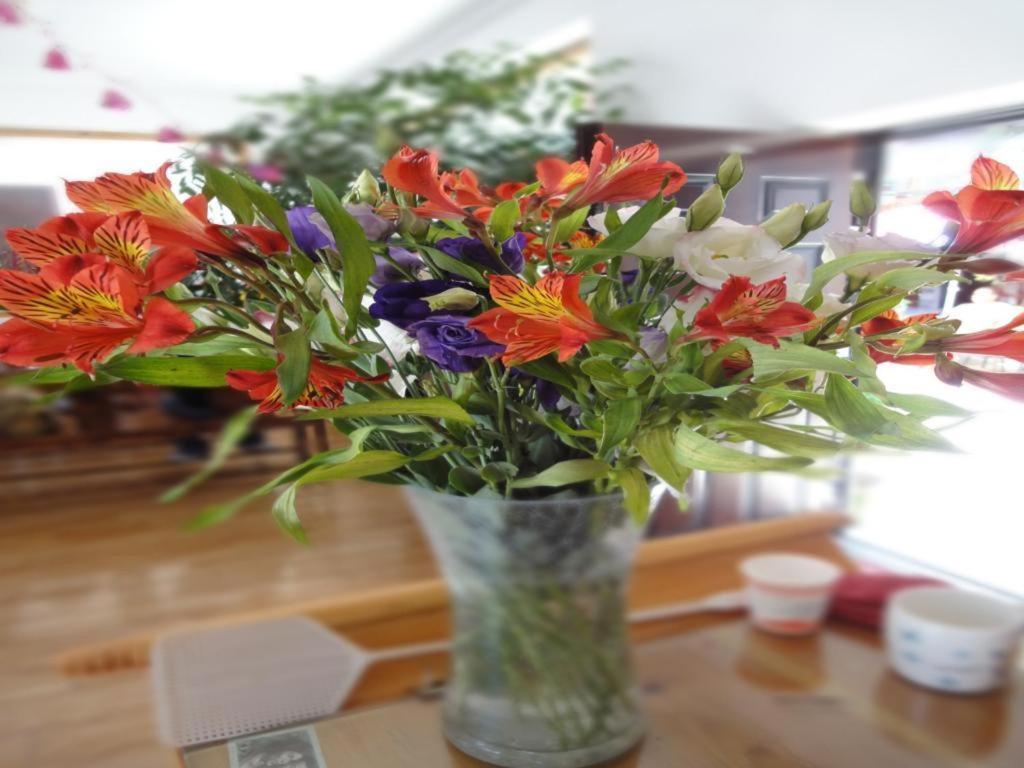 Dali Four Season Flower Inn 大理市 エクステリア 写真